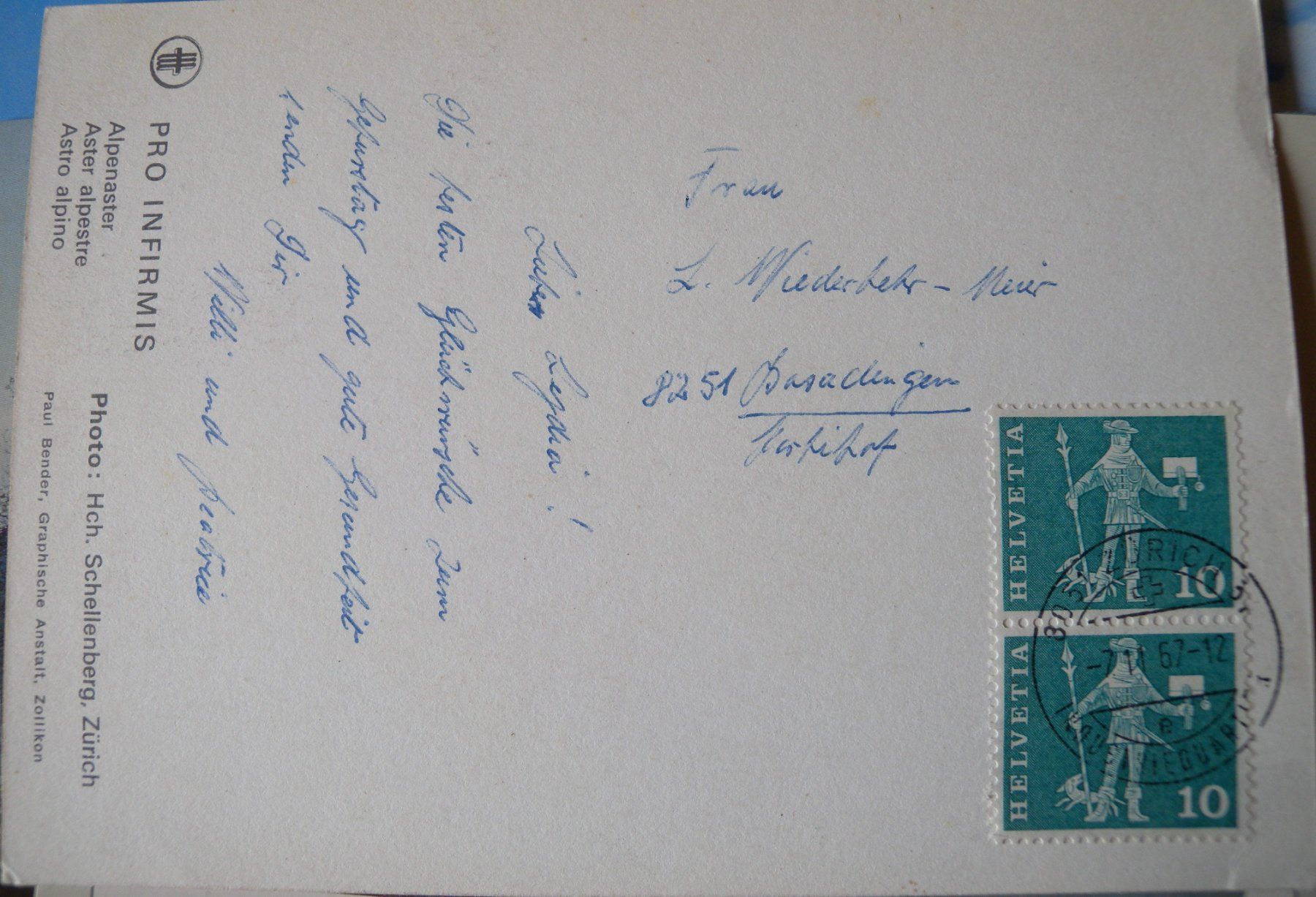Cartoline postali: Alte Ansichtskarte Alpenblume Aster alpinus – Usato da Hauenstein venduto da davia72 1