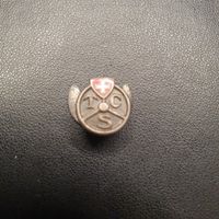 Insigne pin's vintage TCS - Collectionneur/Collectionneuse!