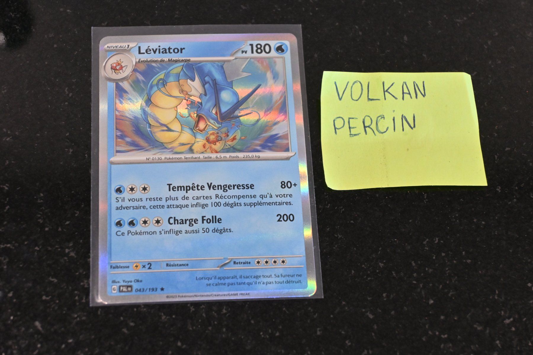 Pokémon Carte collezionabili: Gyarados #43 Pokemon Paldea Evolved – Nuovo (secondo la descrizione) da Aigle venduto da PSAPOKEVOVO