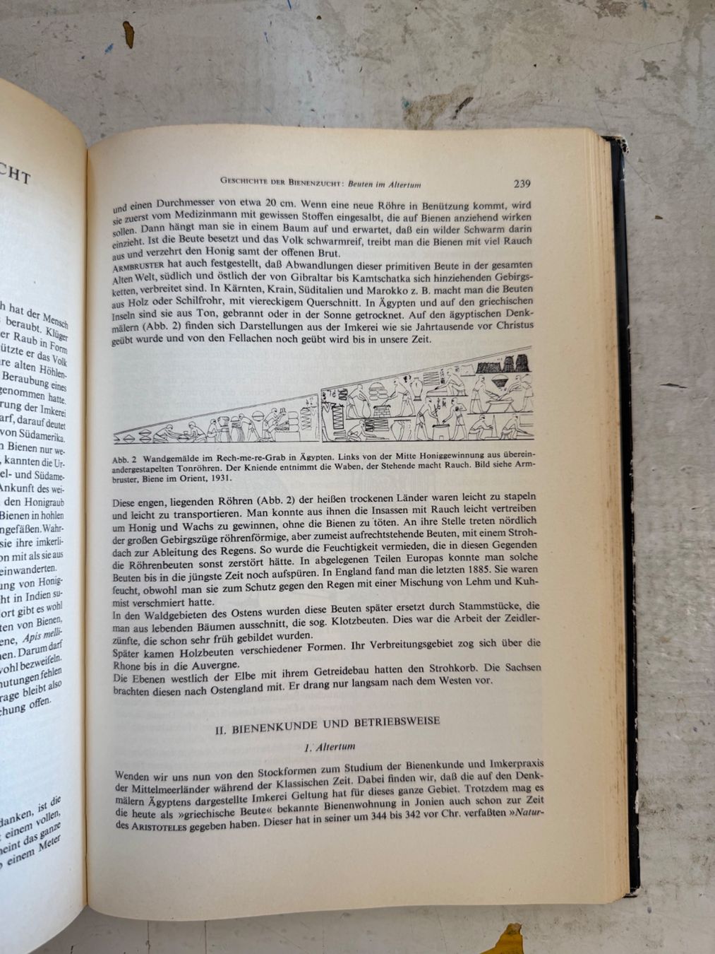Libri: Biene und Bienenzucht – Usato da Dietikon venduto da Buchantiqdietikon 4