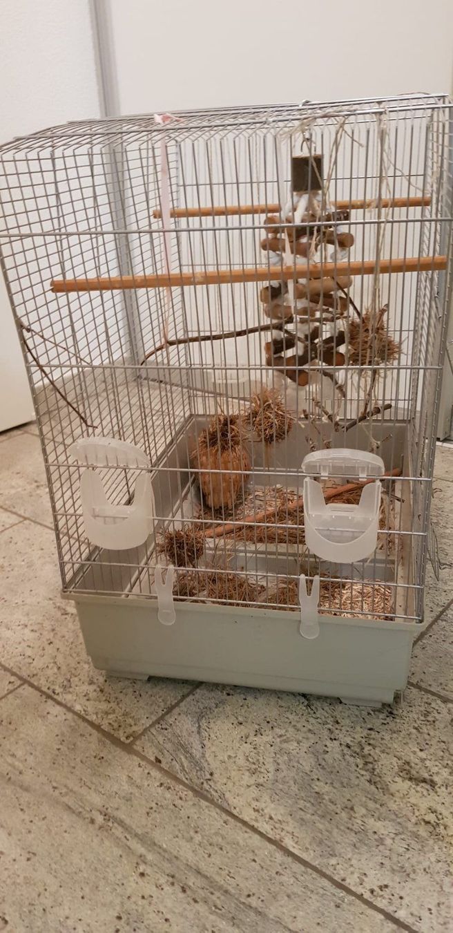 Casette per uccelli: Grosser Vogelkäfig – Usato da Brütten venduto da Diana098 3