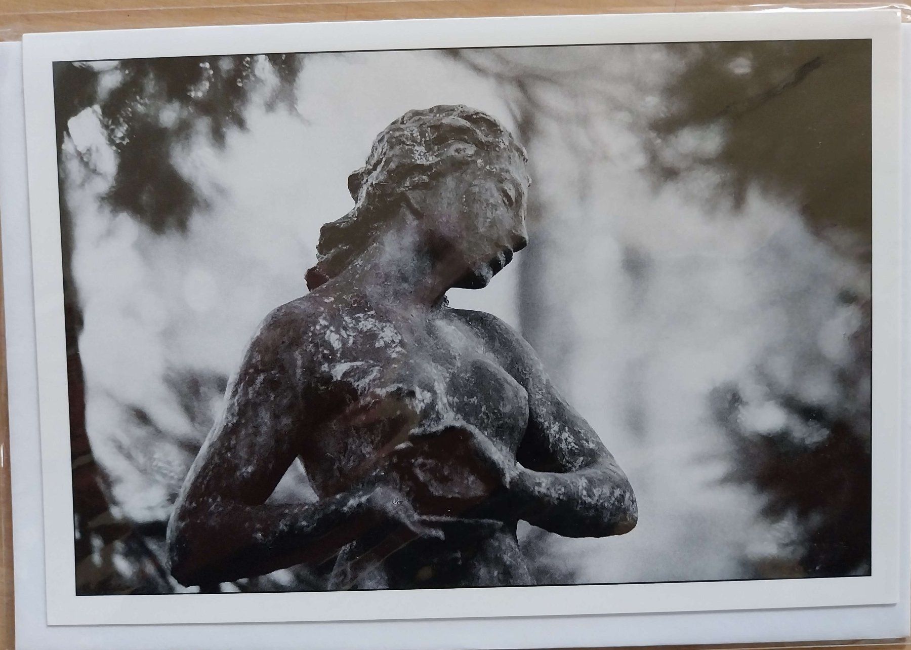 Cartoline postali: Kunstkarte / Trauerkarte "Anmut" – Nuovo e nell'imballaggio originale da Seuzach venduto da wie_c66v