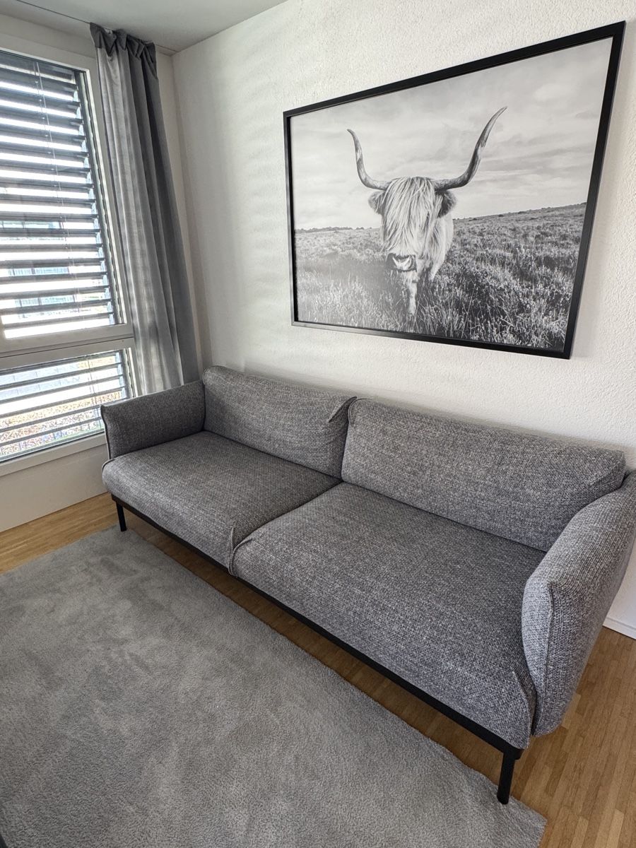 Ikea Divani: Sofa – Usato da Muri AG venduto da seb_fl9j 3