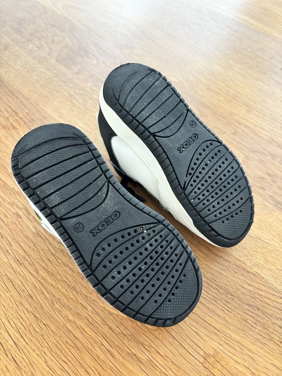 Geox Scarpe per ragazzi: Sneakers Geox – Usato da Muhen venduto da Claudi1985 4