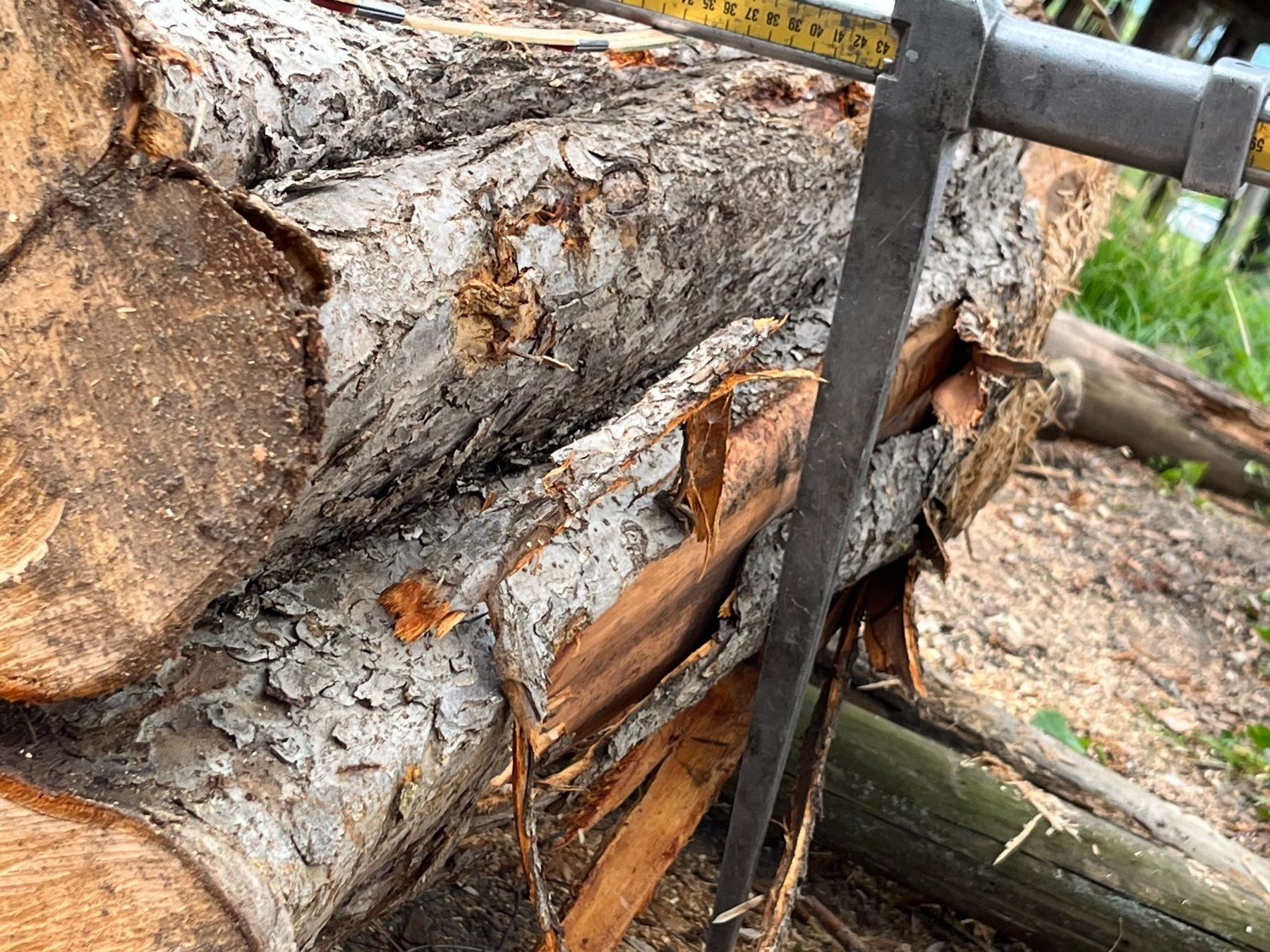 Holzartikel: Apfelbaumstamm – Neu (gemäss Beschreibung) aus Nürensdorf von Peterhakab 8