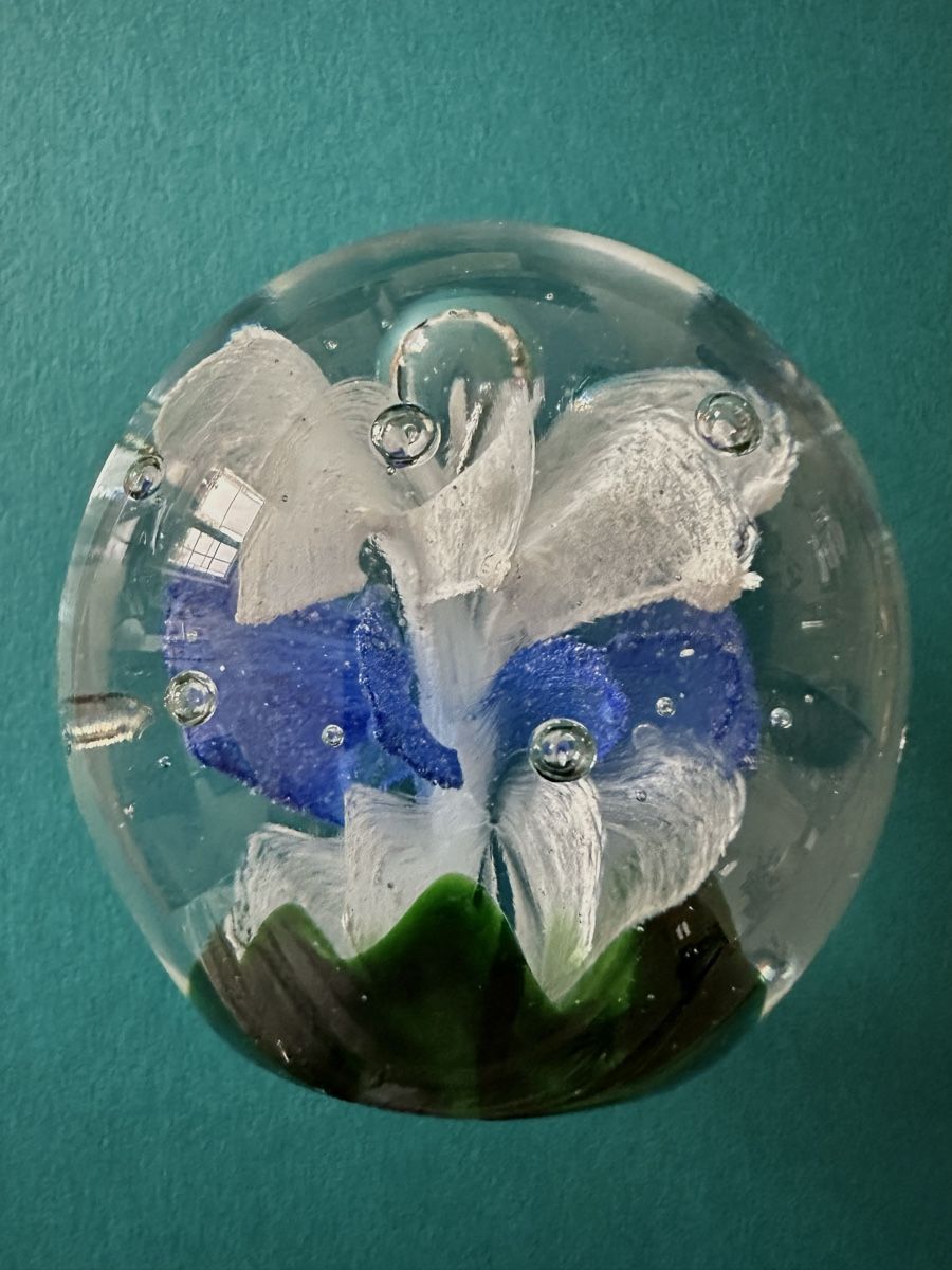 Murano Bicchieri: Paperweight Briefbeschwerer Murano – Nuovo (secondo la descrizione) da Bern venduto da schnupka 2