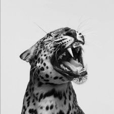 Profile image of uzishop