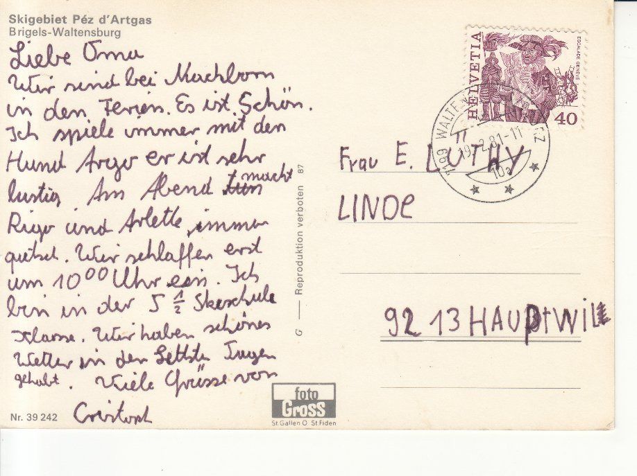 Cartoline postali: Brigels Péz d'Artgas 1981 – Usato da Bürglen TG venduto da StampGraf 1