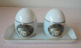 Salz & Pfefferstreuer Set Limoges Style aus Porzellan