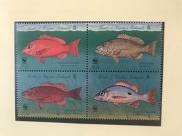 WWF Turks und Caicos 1998 Schnapper Karibik Satz postfrisch
