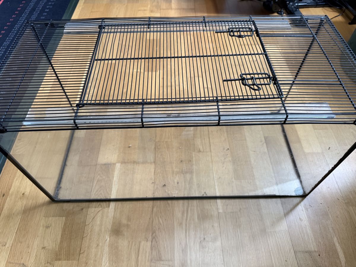 Terrarium: Terrarium mit Deckel – Gebraucht aus Hunzenschwil von MichaelBanger0 1