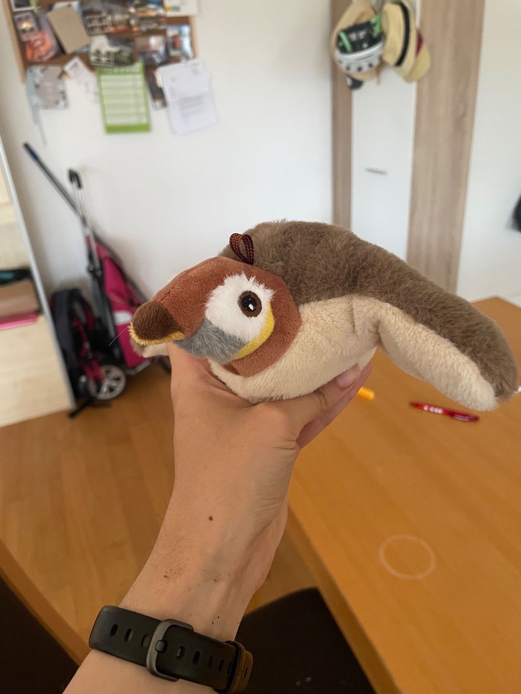 Giocattoli: Katzenspielzeug Vogel mit Sound – Usato da Olten venduto da Tinuu001 3