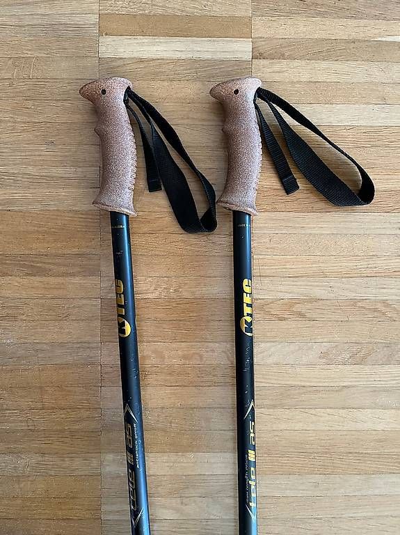 Bastoncini da trekking: Bâtons de marche téléscopiques 130cm – Nuovo (secondo la descrizione) da Renens VD venduto da ele_dkq8 1