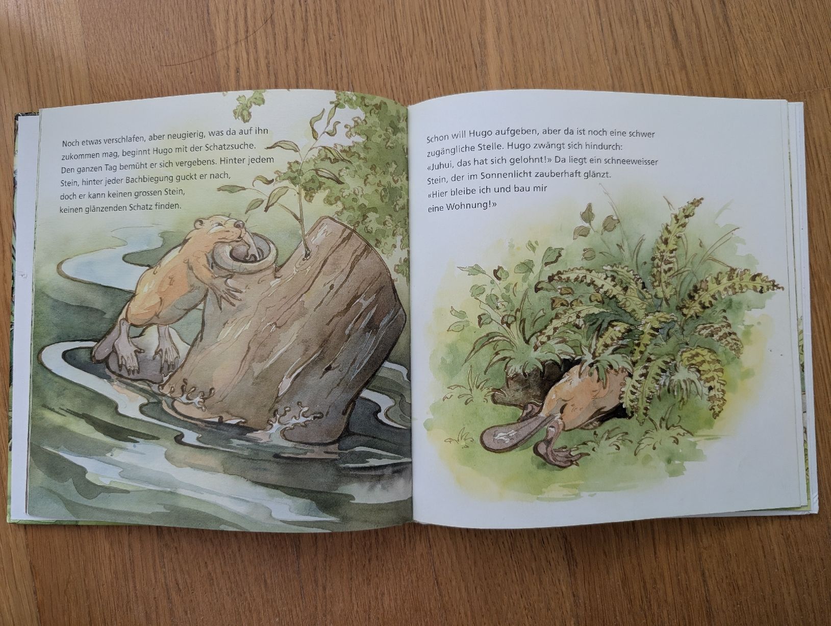 Libri: Hugo, der mutige Biber - Kinderbuch – Usato da Wädenswil venduto da HummerZH 2