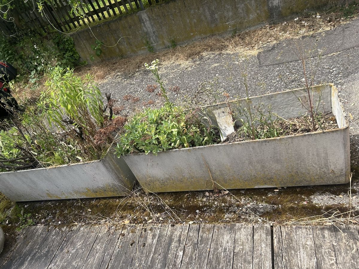 Blumentöpfe: Blumen Topf   – Gebraucht aus Basel von Krisztina.na 1