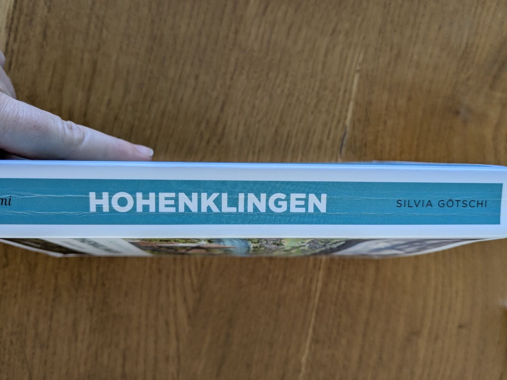 Libri: Silvia Götschi: Hohenklingen  – Usato da Wohlen AG venduto da merkur0300 3