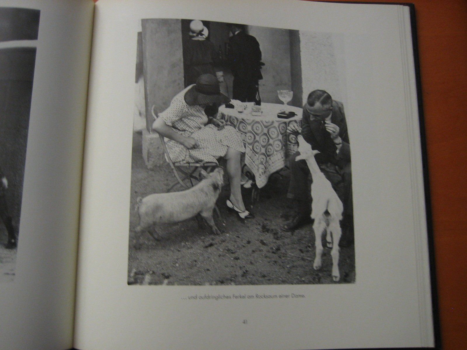 Libri: Das Berliner Zooalbum – Usato da Zürich venduto da Ralfli 2
