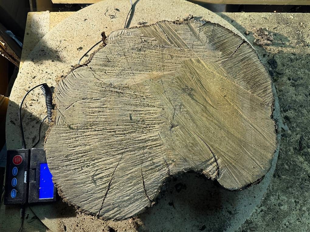 Articles en bois: Olivenholz Baumscheibe K6 – D'occasion à Buus par macipioji 1