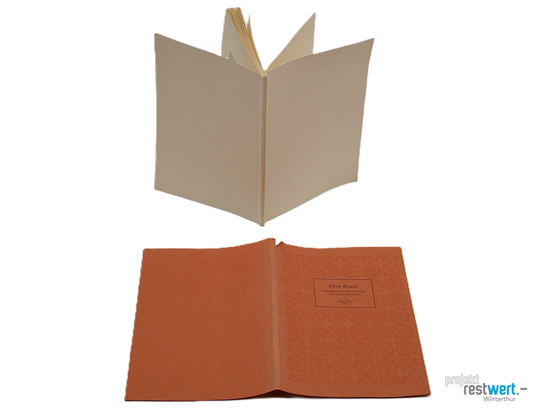 Livres: ARNE SIEGFRIED - Kleine Besuche – D'occasion à Winterthur par Restwert_Winterthur 3