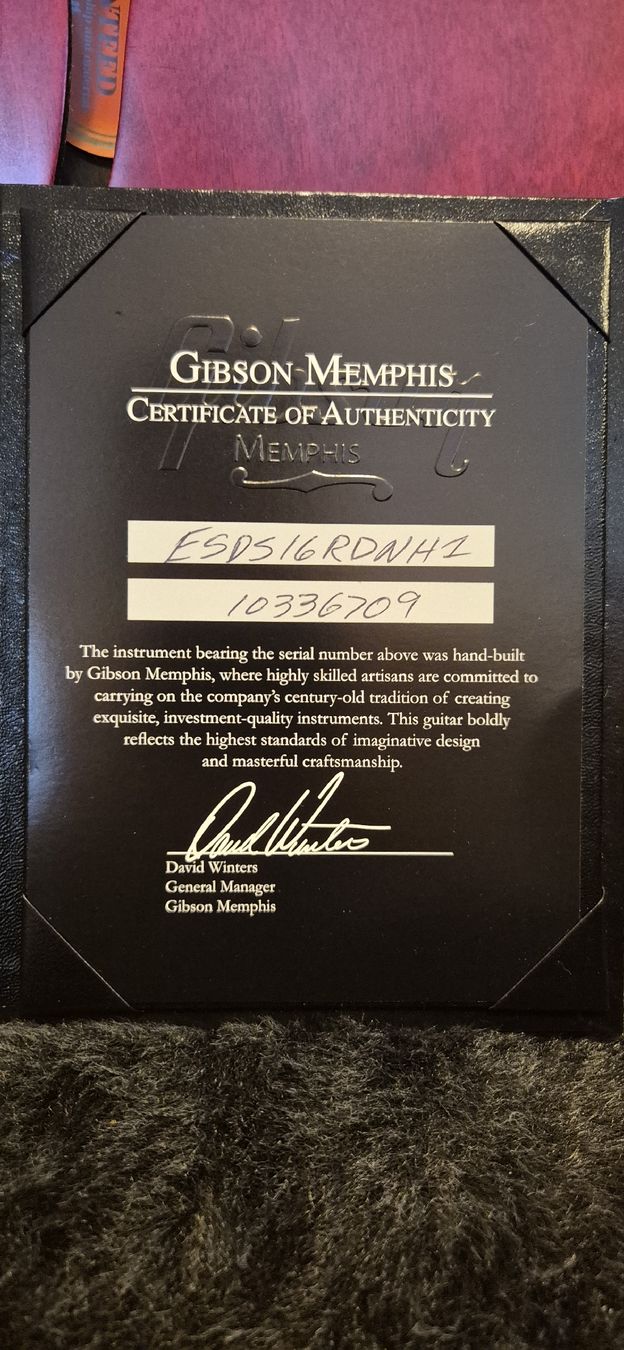 Gibson Instruments de musique: 2016 Gibson Memphis ES-335 Satin – D'occasion à Frauenfeld par Denny_Cook 1