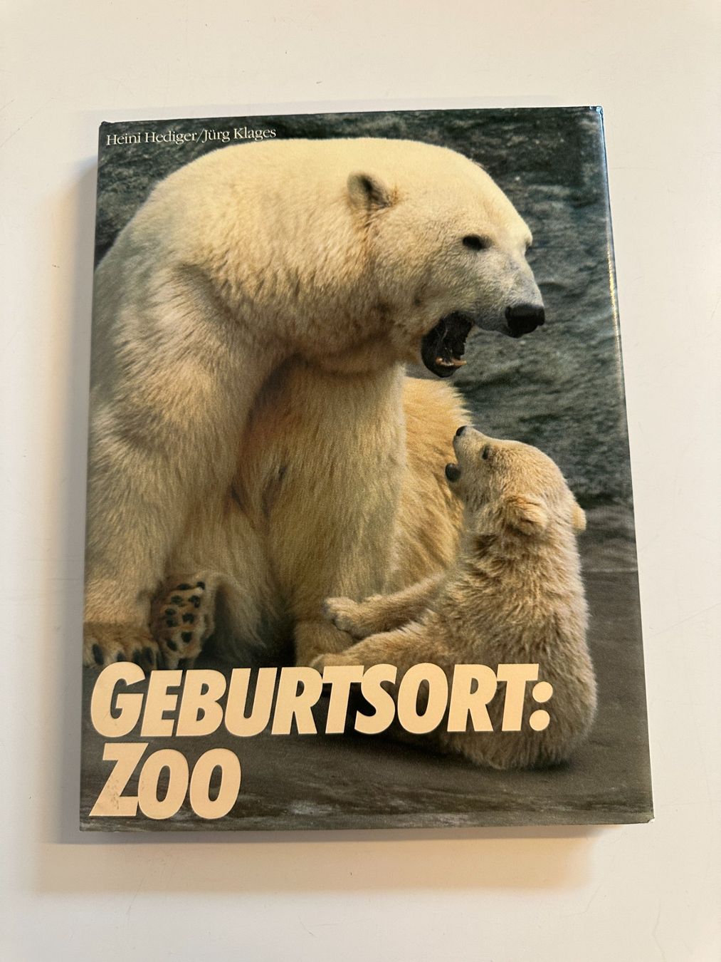 Libri: Buch "Geburtsort Zoo" Silvabuch – Usato da Urdorf venduto da Erika666