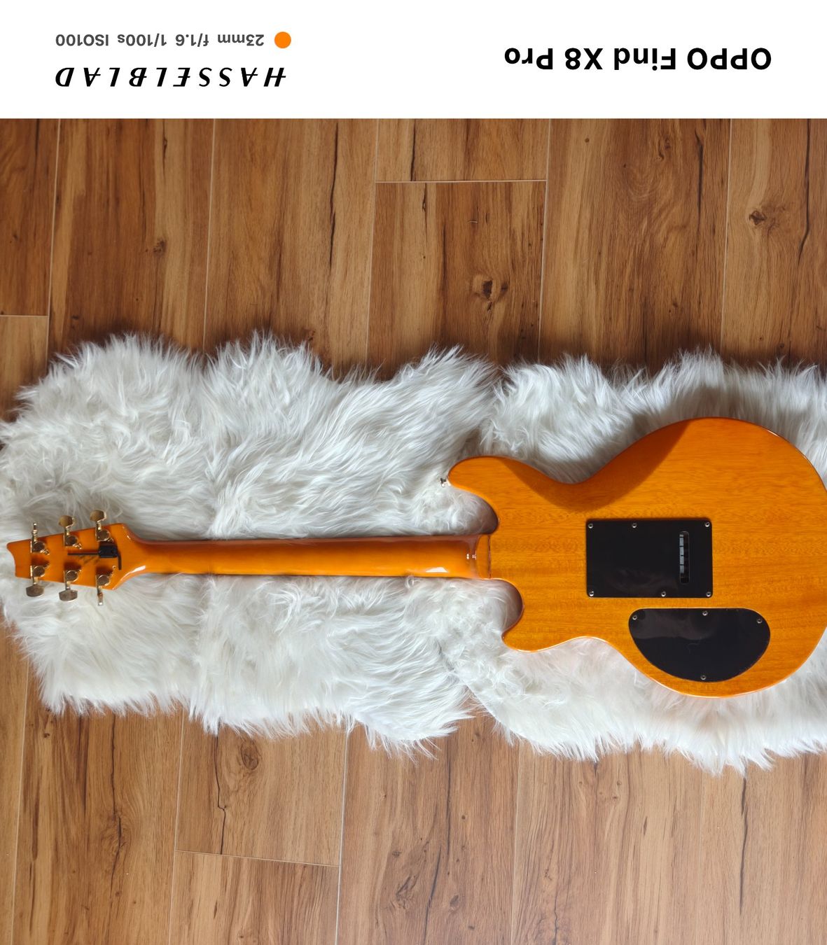 Strumenti musicali: Zerberus Q-Deluxe Jg. 2003 – Usato da Seuzach venduto da Markleeroy 7
