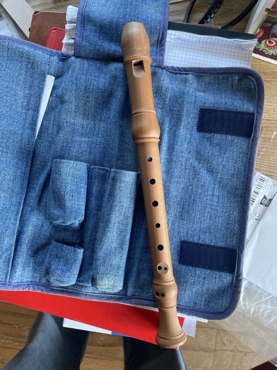 Musikinstrumente: Flöte – Gebraucht aus Aegerten von tantelotte1