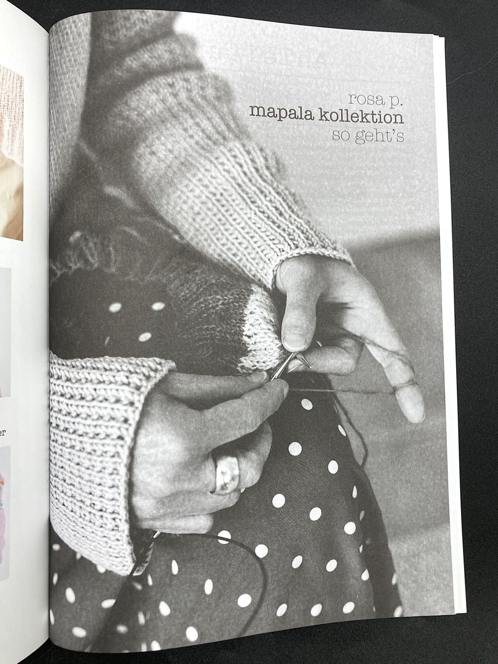 Riviste & Magazine: LANA GROSSA | Rosa P. | Mapala | Strickheft – Nuovo (secondo la descrizione) da Wittenbach venduto da Restwert_St-Gallen 3