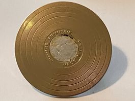 1 Pin Future Primitive (Schallplatte?)