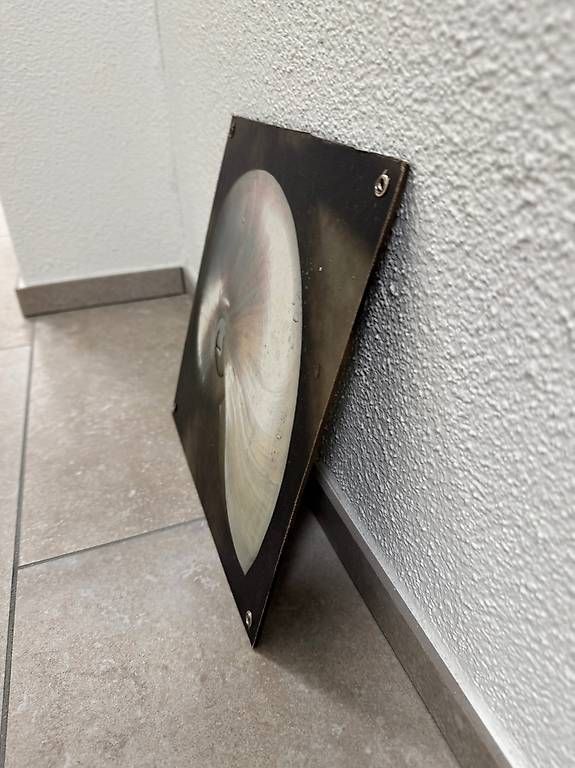 Foto & Immagini: Dekoratives Wandbild Nautilus-Muschel – Usato da Schübelbach venduto da Rahnmont 2