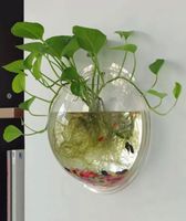 Wand-Aquarium/Pflanzentopf, Glas, 15cm Durchmesser, Neu!