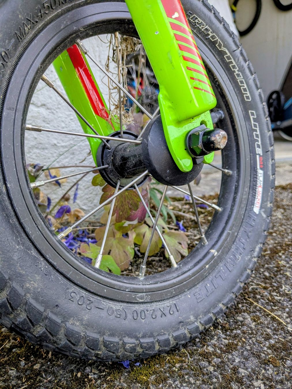 Specialized Velos: Kinder-Laufrad Specialized Hotwalk, 12 Zoll, leuchtgrün – Gebraucht aus Pfungen von Reitsch 4