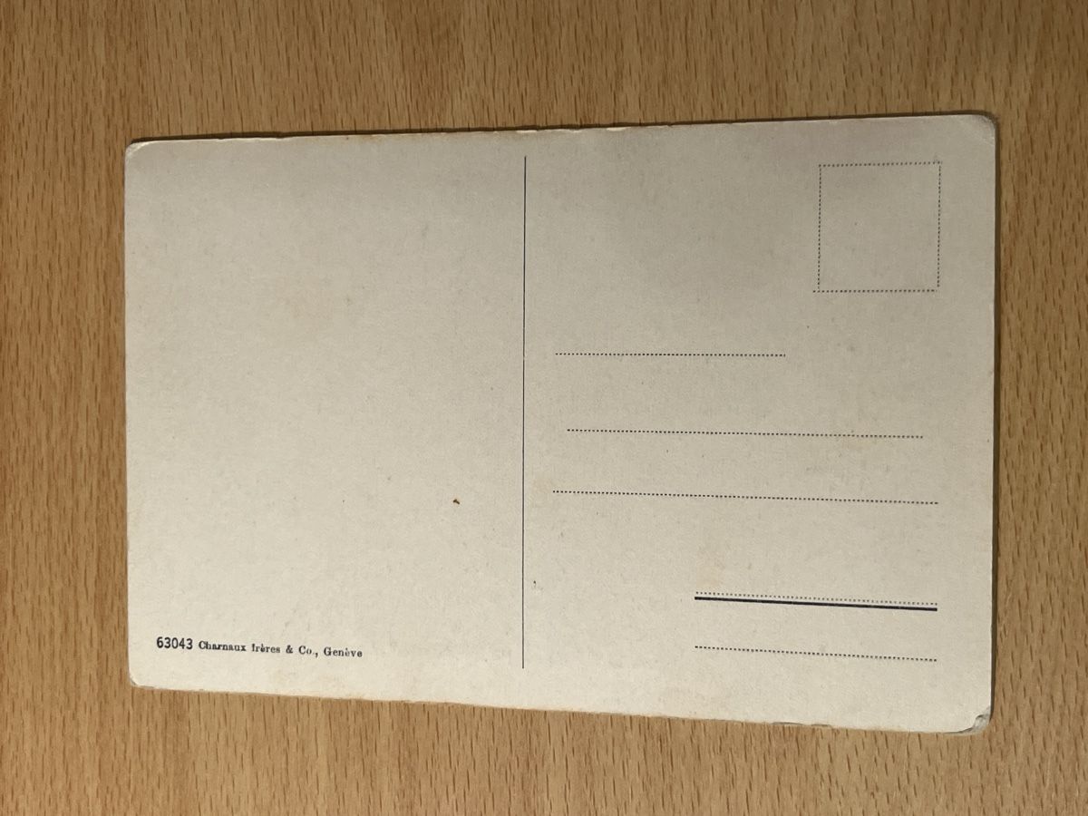 Cartoline postali: Alte Ansichtskarte Chillon, Genfersee, ungebraucht, top! – Usato da Hinwil venduto da Chuan2 1
