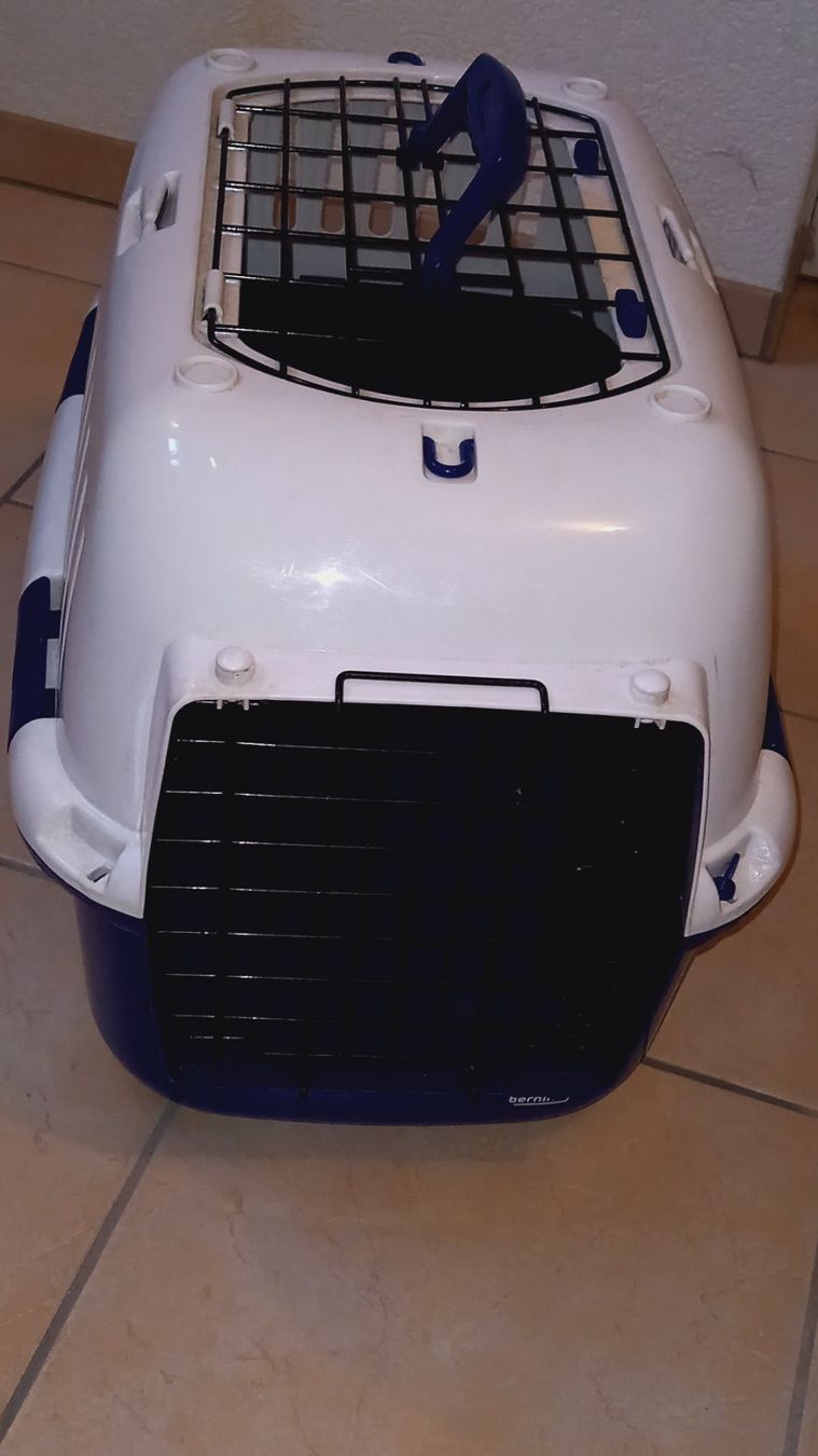Käfige, Transport & Sicherheit: Transportbox Europet Bernina – Gebraucht aus Brünisried von san_74_bu 2