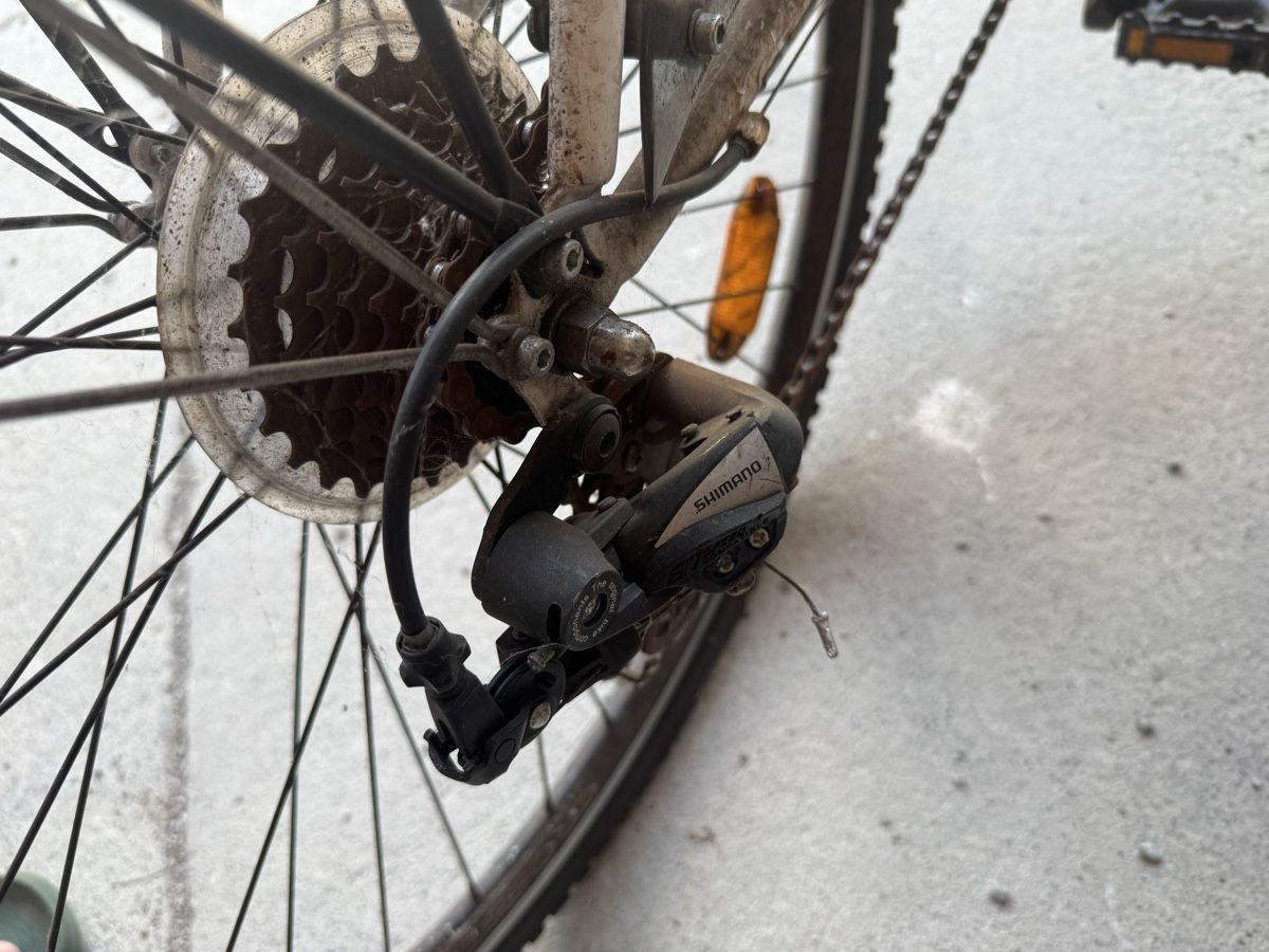 Biciclette: Velo 28 zoll – Difettoso da Bern venduto da puntoevo13 4