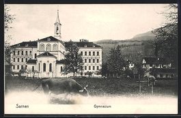 Sarnen, Gymnasium mit weidenden Kühen