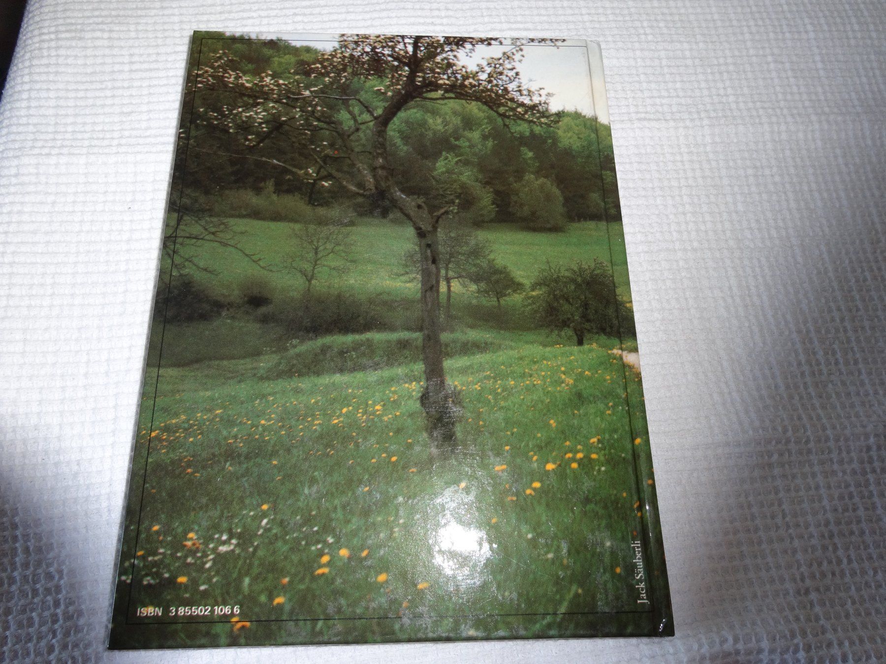 Libri: Streifzug durch Wald und Wiese – Usato da Neerach venduto da jenny062 7