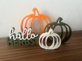 Herbst Dekoration Kürbis Set neu