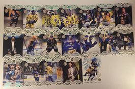 💎 Andres Ambühl – Komplettset Grün – HCD 25/26