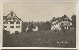 LANDWIRTSCHAFT/BAUERNHAUS 1920 Wädenswil Ob. Lehmhof ZH