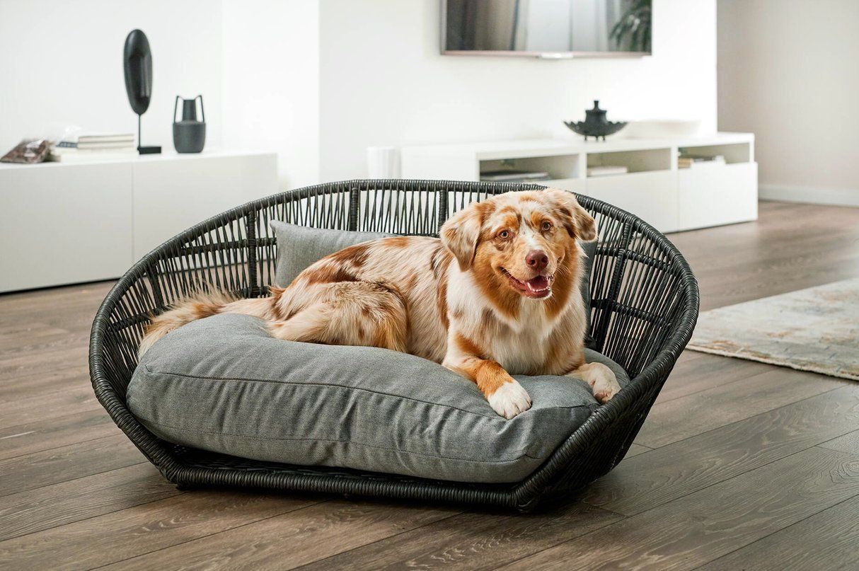 Niches, paniers: Hundebett Design Prado SMOOTH LABONI – Neuf (Voir description) à Kägiswil par nick333 2