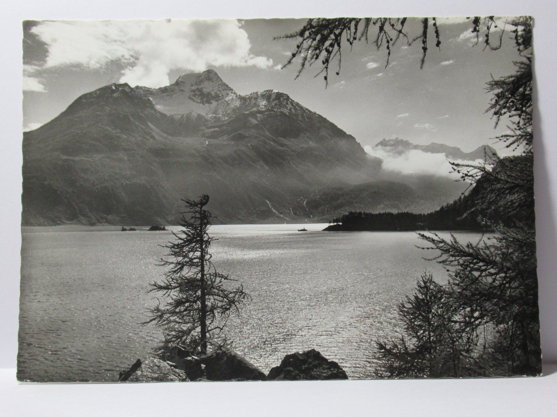 Cartoline postali: Silsersee mit Piz della Margna 1966 – Usato da Grenchen venduto da Bluemchen1900