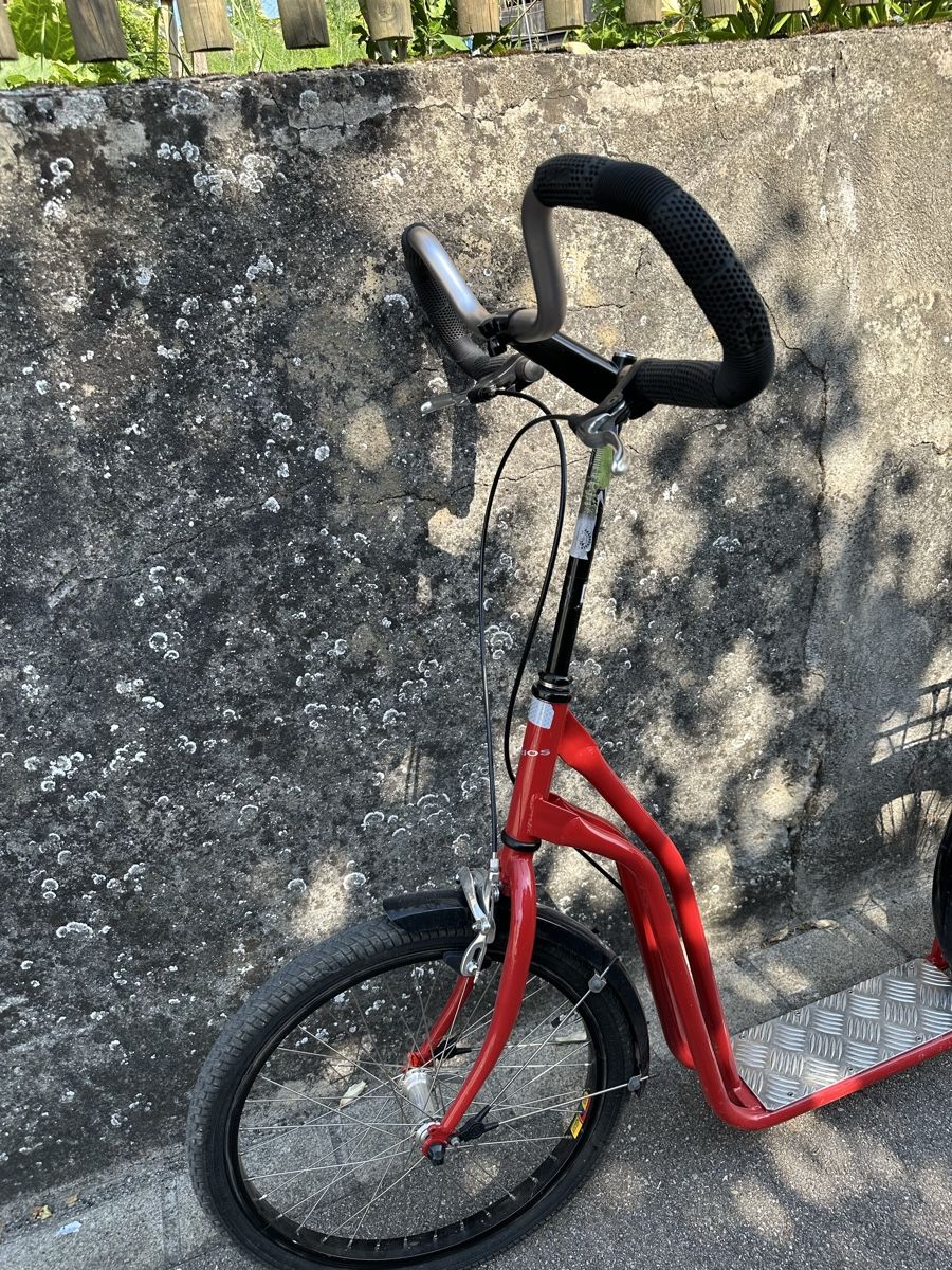 Aarios Kickboard: Trottinett Aarios swiss made – Usato da Trüllikon venduto da angela4444 7