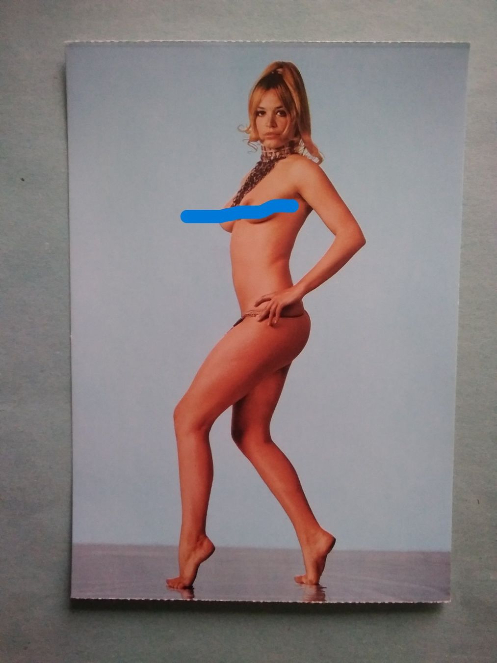 Cartoline postali: Erotik Pin-Up-Girl BRIGITTE – Usato da Appenzell venduto da lama19