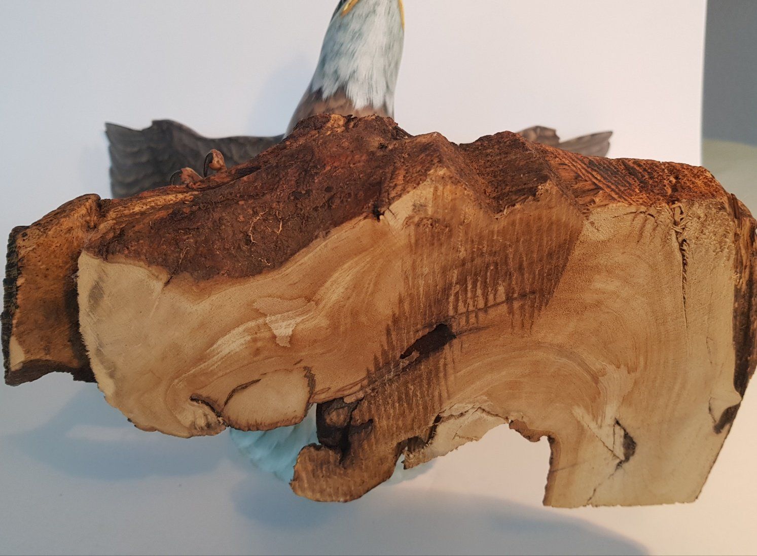 Statuette: Grosser Weisskopfadler – Usato da Horw venduto da Kunstreich7 7