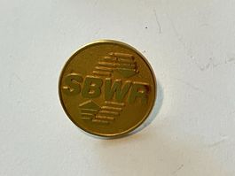 1 Pin SBWR