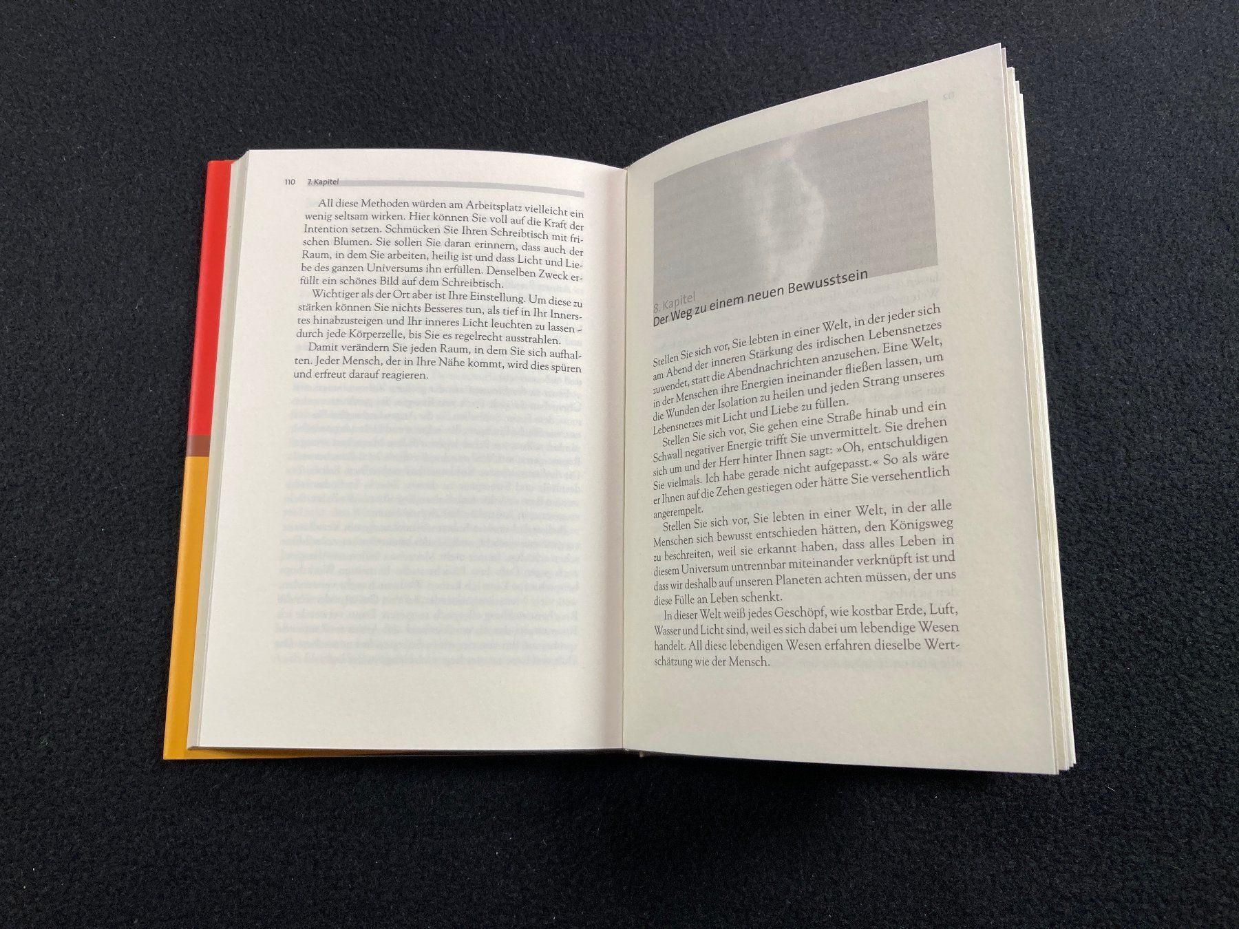 Libri: Sandra Ingerman: Die Seele schützen – Usato da Lenzburg venduto da fh1 9