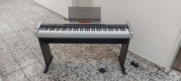 Digitalpiano Casio PX-410R,88 Graded-Hammer-Tasten Mit ständ