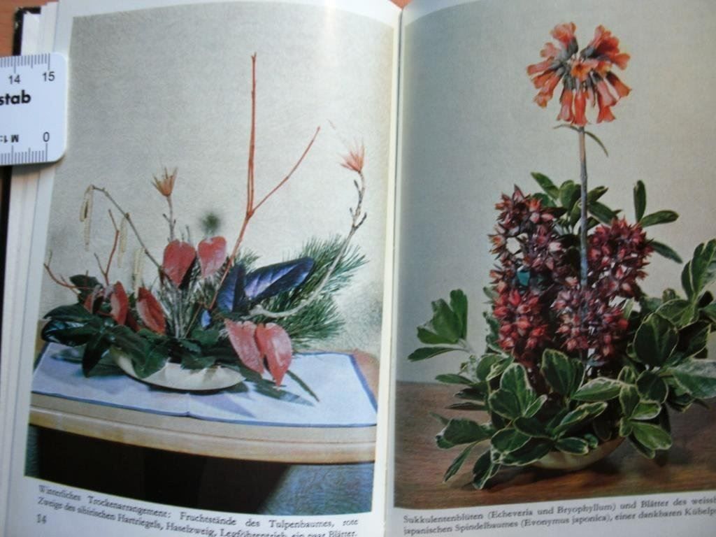 Libri: Schnittblumen und ihre Pflege - Heini Mathys – Usato da Grenchen venduto da Kogi7 2