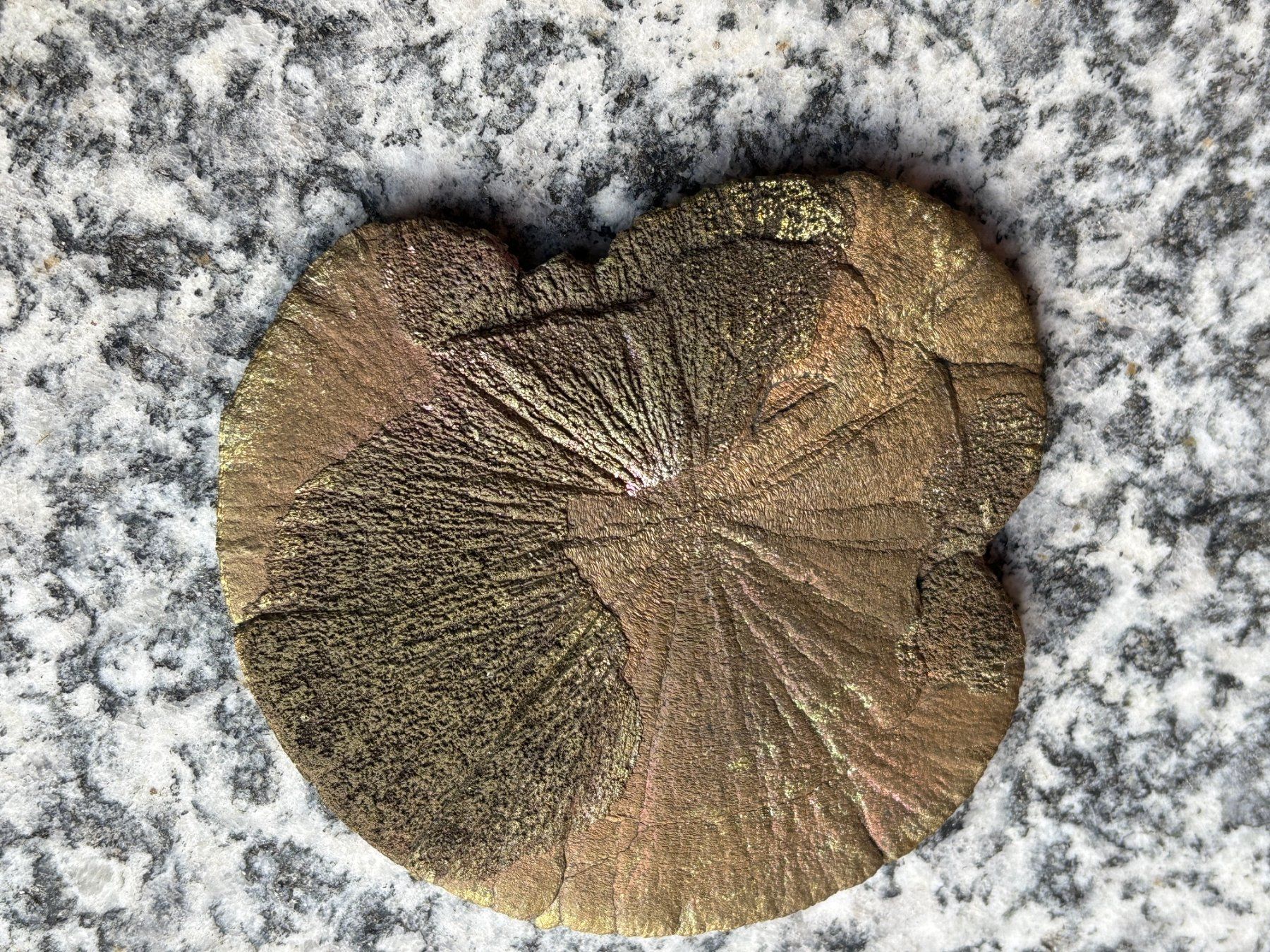 Minéraux & Lithothérapie: Schöne, intakte Pyrit Sonne ab 45.-- – Neuf (Voir description) à Täuffelen par opa_9xrt 2